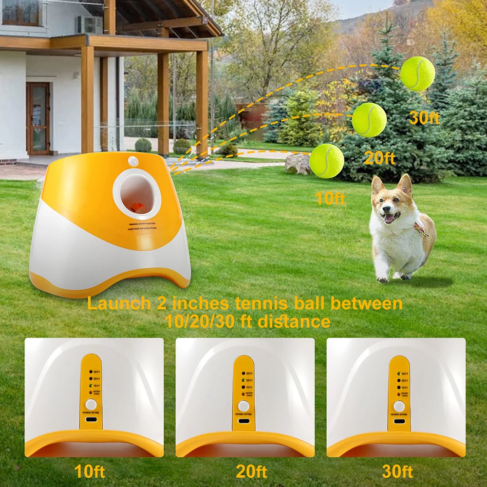 Automatic Dog Ball Launcher